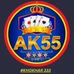 AK55 Game